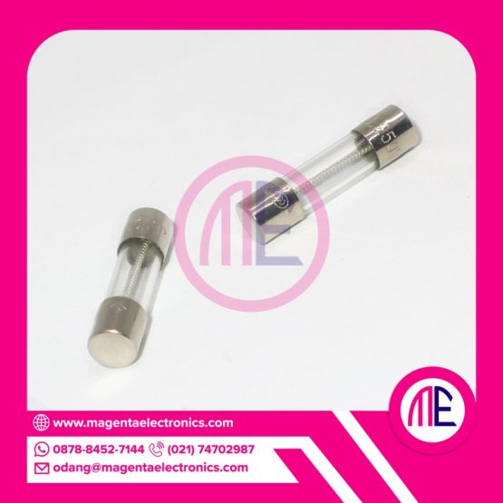 SIBA 1.6A 250V 5x20mm Slow Blow Glass Fuses – 2 Pieces, For Audio Equipment