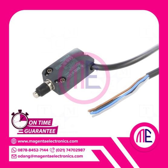 Pizzato NF B110AE-DN2