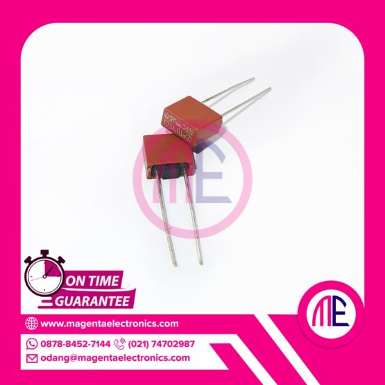 T2.5A 250V DIP2 (SQUARE - BOX)