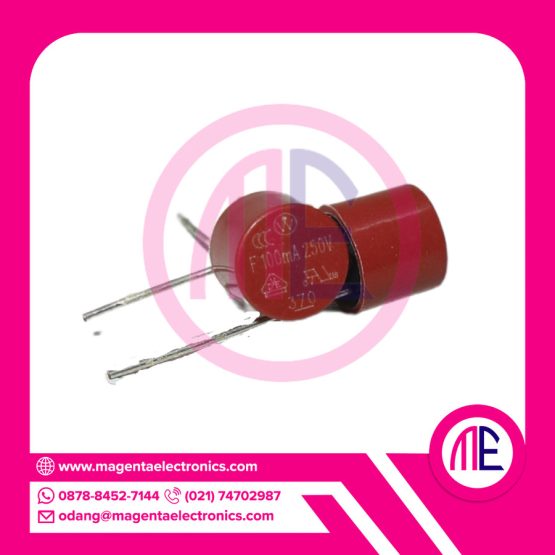 F100mA 250V DIP2 (Blow Micro-Circle)