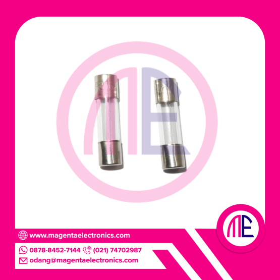 F3.15A250V - 3.15A 250V FUSE GLASS (L= 2 cm W= 0.5 cm)