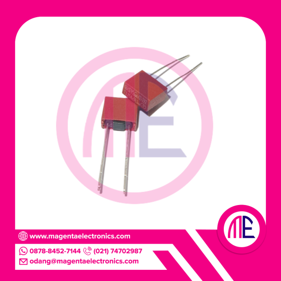 T3.15A 250V DIP2 (SQUARE - BOX)
