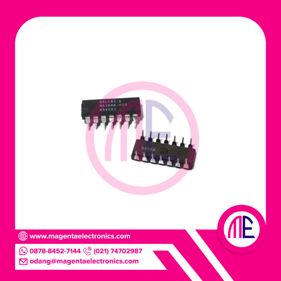DS1666-010 DIP14