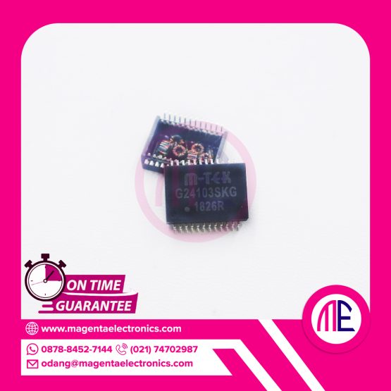 G24103SKG IC MODULE SOP24
