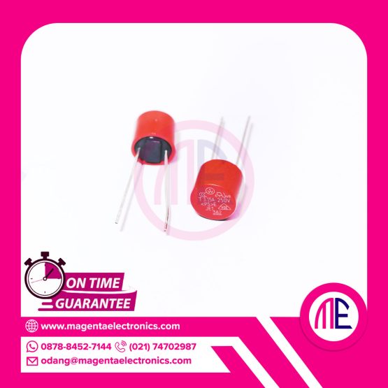 T3.15A 250V DIP2 (BLOW MIRCRO-CIRCLE)