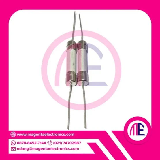 25a 250v Dip Fuse Ceramic3.1 cm x 0.6 cm