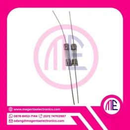 6.3a 250v Dip Fuse Glass (L= 2 cm W= 0.5 cm)