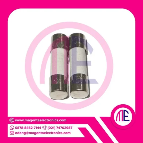 F8Al250V - 8a 250V Fuse Ceramics (L= 2 cm W= 0.5 cm)