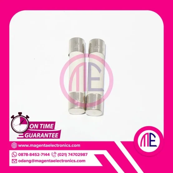 F25A250V - 25A 250V FUSE CERAMIC 6x29mm (2)