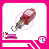 SN6170-SL-C-R LIMIT SWITCH