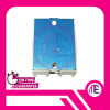 SSR-10-DD-H Input = 3-32VDC 5-250VDC Solid State Module
